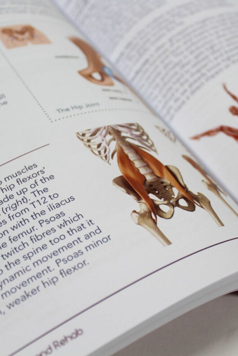 Bendy Brand Upside Down Injuries (paperback)-Bendy Brand-Pole Junkie