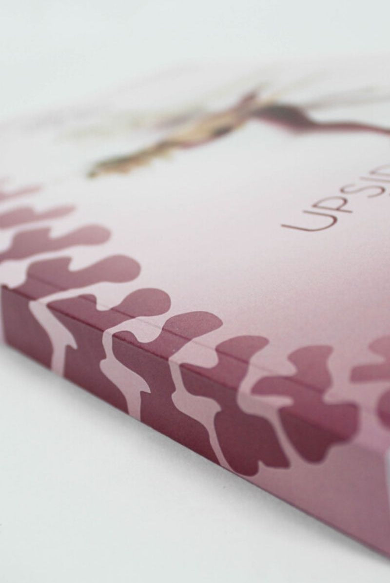 Bendy Brand Upside Down Injuries (paperback)-Bendy Brand-Pole Junkie