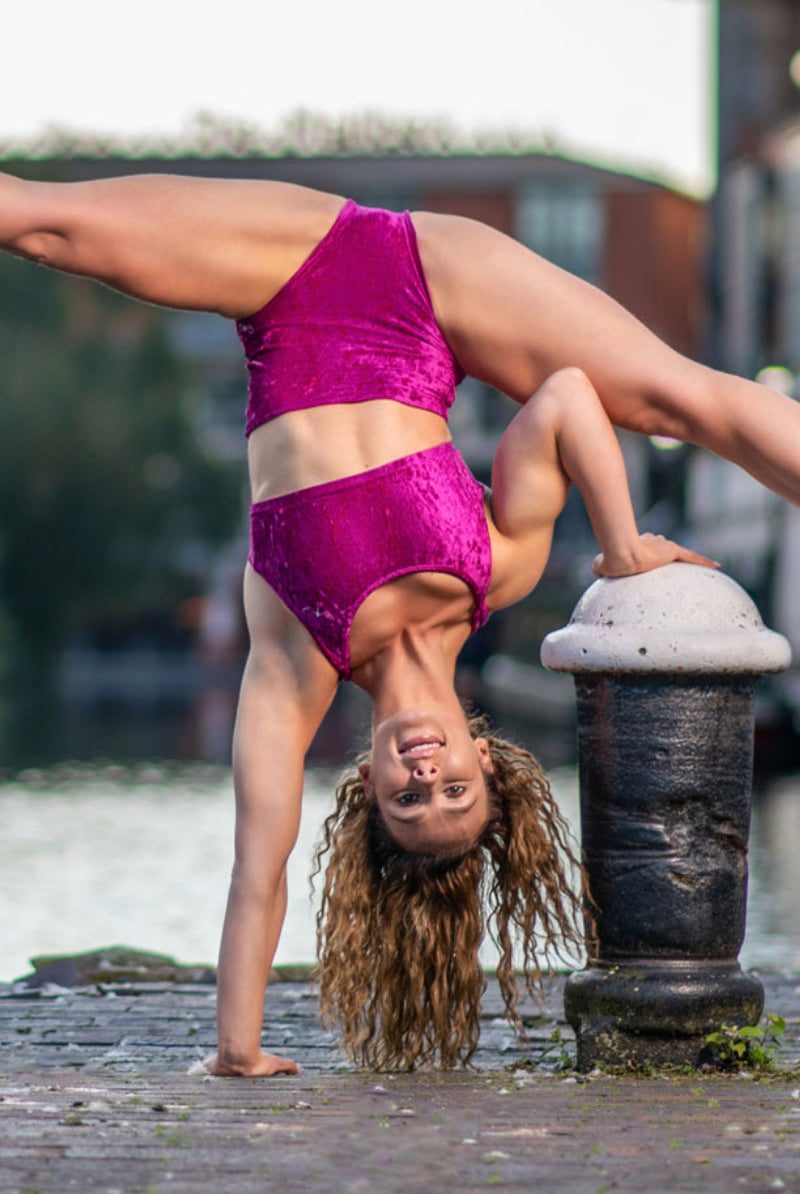 Dragonfly Betty High-Waisted Shorts - Velvet Ruby-Dragonfly-Pole Junkie