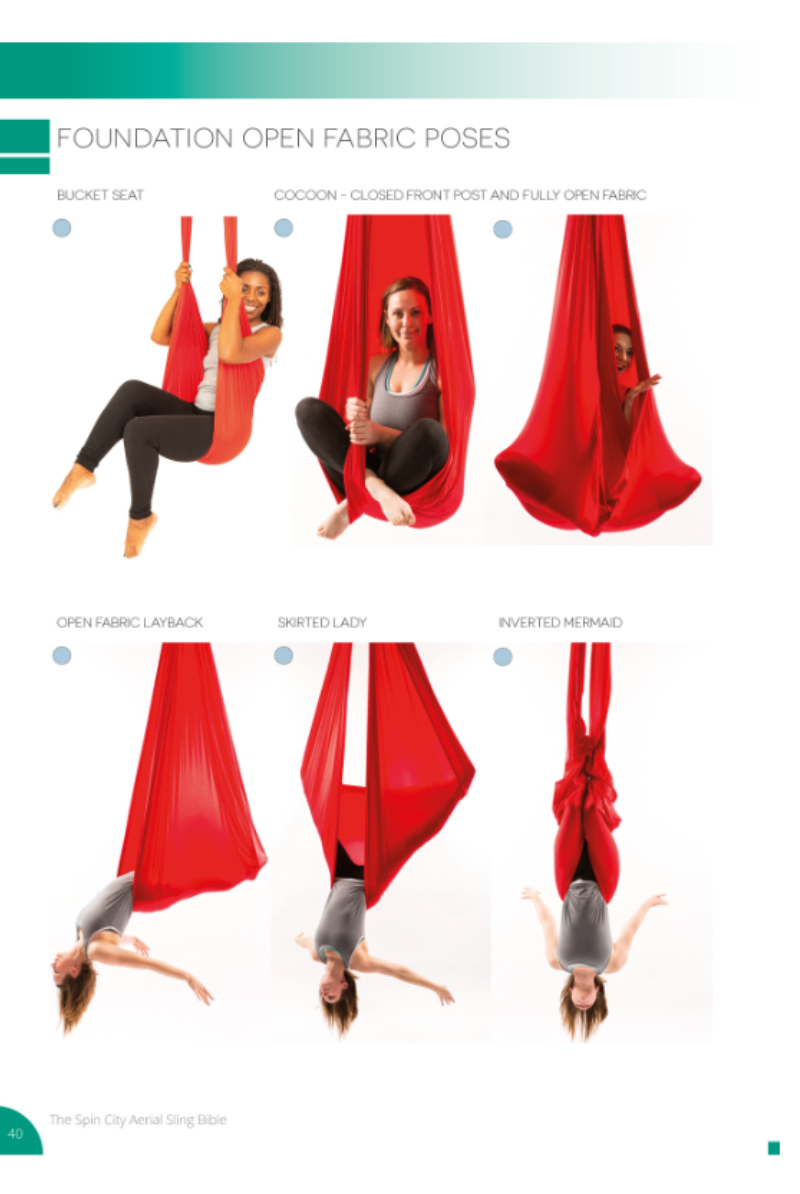 Spin City The Ultimate Sling Bible-Spin City-Pole Junkie