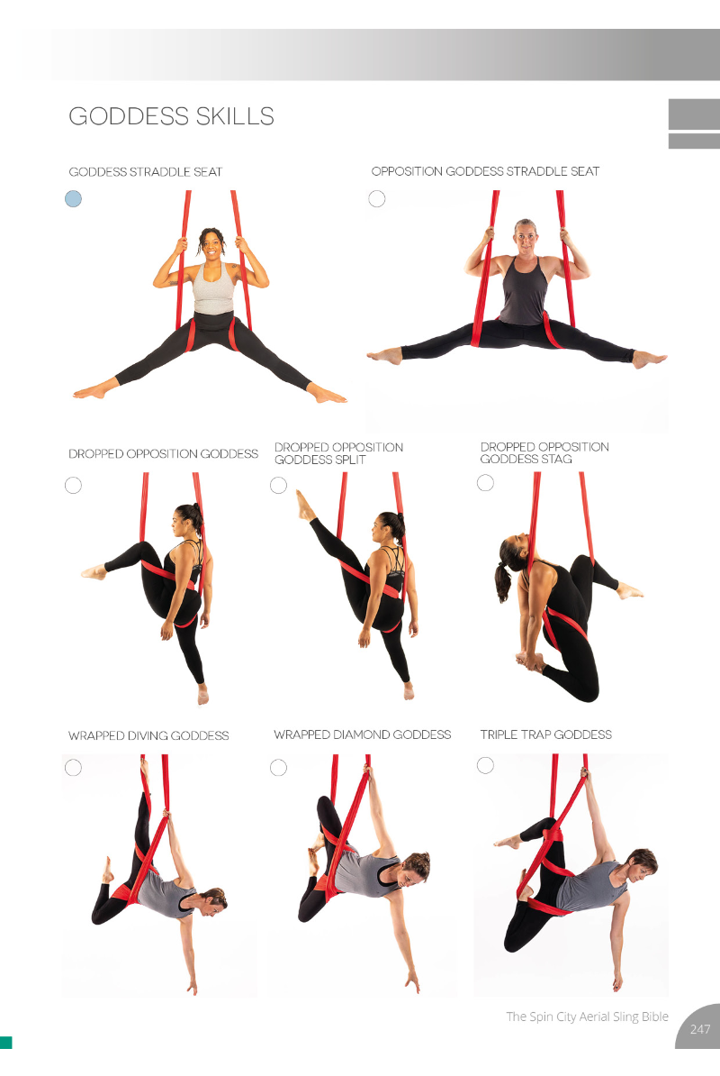 Spin City The Ultimate Sling Bible-Spin City-Pole Junkie