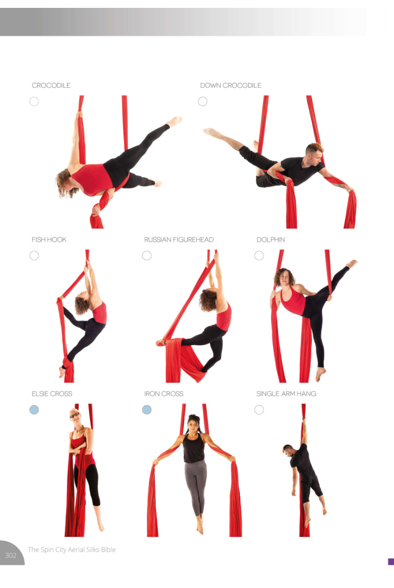 Spin City The Ultimate Silks Bible-Spin City-Pole Junkie