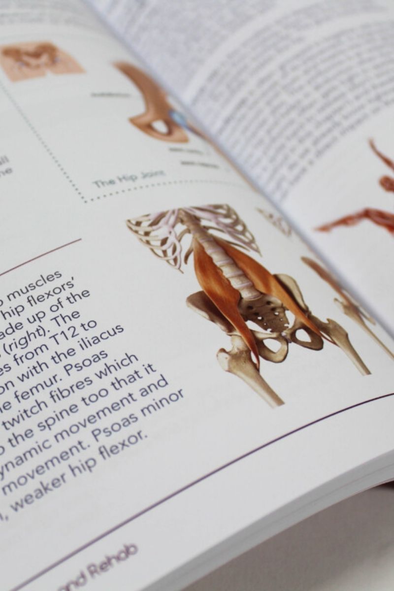 Bendy Brand Upside Down Injuries (paperback)-Bendy Brand-Pole Junkie