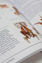 Bendy Brand Upside Down Injuries (paperback)-Bendy Brand-Pole Junkie