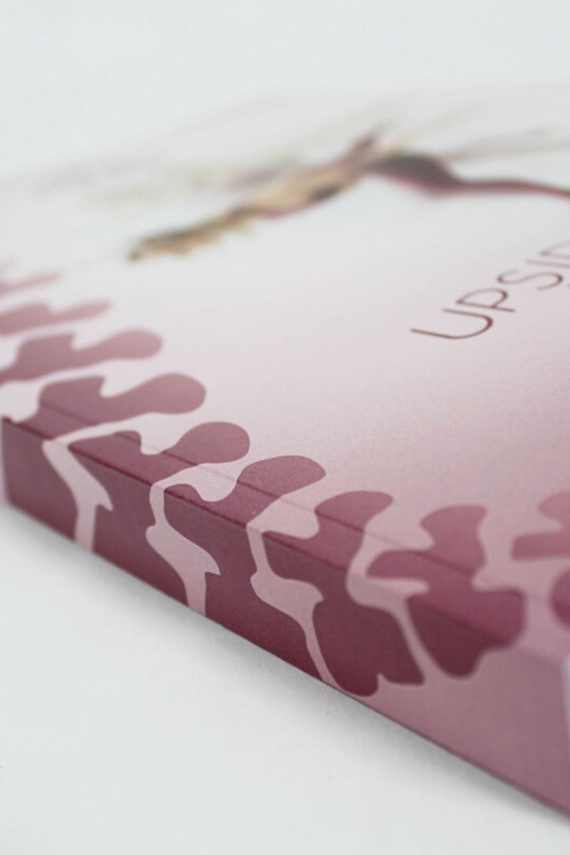 Bendy Brand Upside Down Injuries (paperback)-Bendy Brand-Pole Junkie