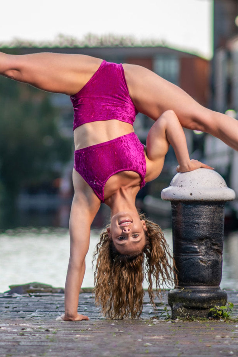 Dragonfly Betty High-Waisted Shorts - Velvet Ruby-Dragonfly-Pole Junkie