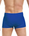 Dragonfly Mike Shorts - Blue-Dragonfly-Pole Junkie