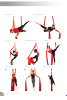 Spin City The Ultimate Silks Bible-Spin City-Pole Junkie